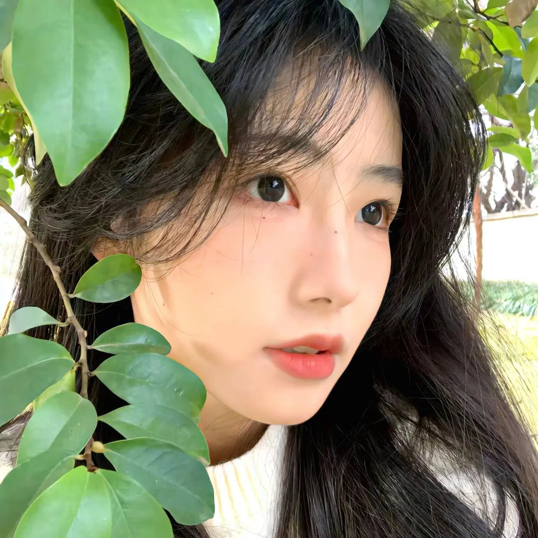 童女贞德封面